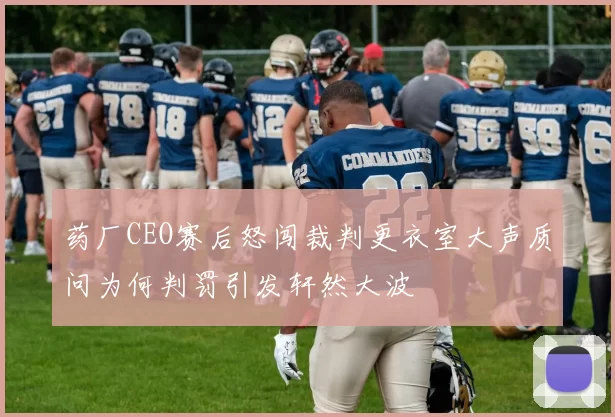 药厂CEO赛后怒闯裁判更衣室大声质问为何判罚引发轩然大波
