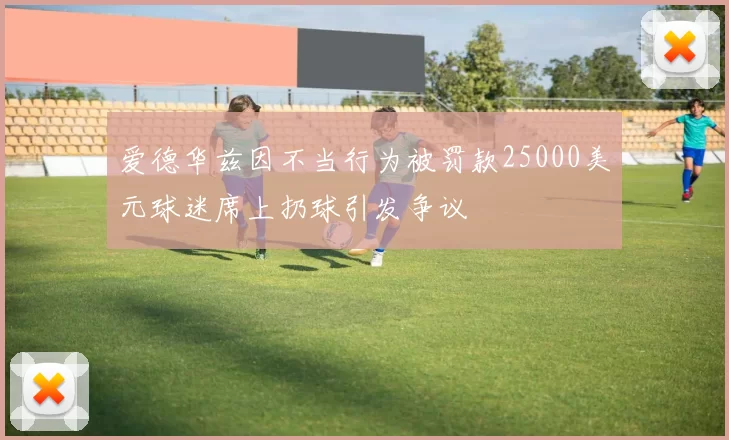 爱德华兹因不当行为被罚款25000美元球迷席上扔球引发争议
