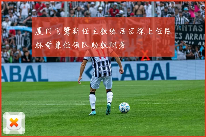 厦门飞鹭新任主教练吕宏琛上任陈林奇兼任领队助教职务